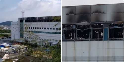 余烬染指零售界 五金之殇与社会连锁效果思悟